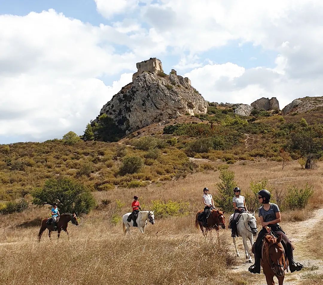 Image Voyage à cheval des collines du Luberon et des Alpilles à la Camargue
