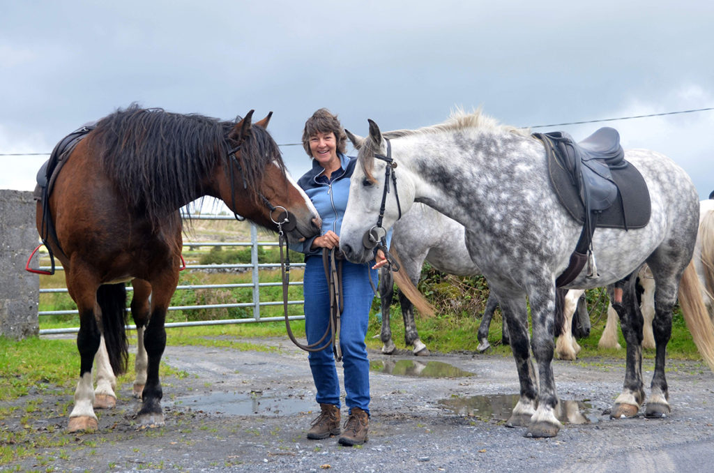 Image Stage d'équitation et randonnées en étoile en Irlande