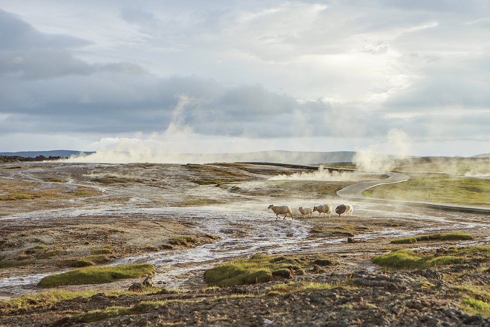Image La traversée de l'Islande à cheval