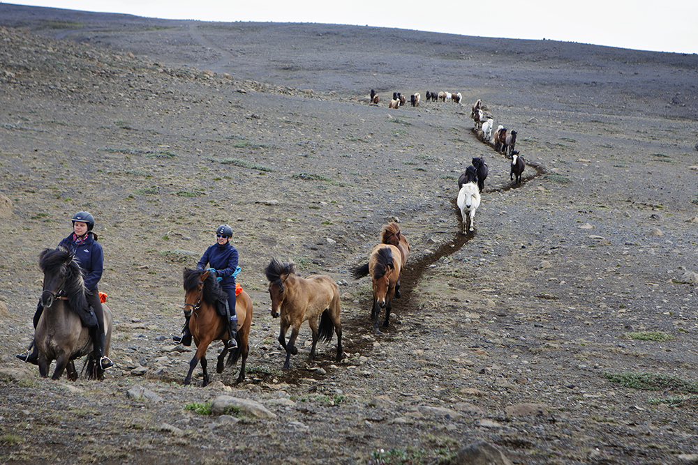Image La traversée de l'Islande à cheval