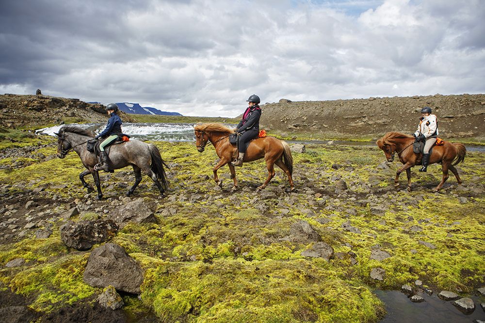Image La traversée de l'Islande à cheval