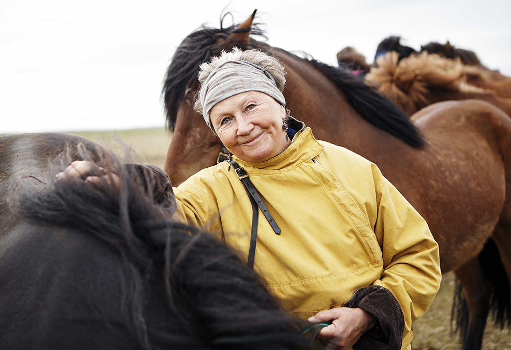 Image La traversée de l'Islande à cheval