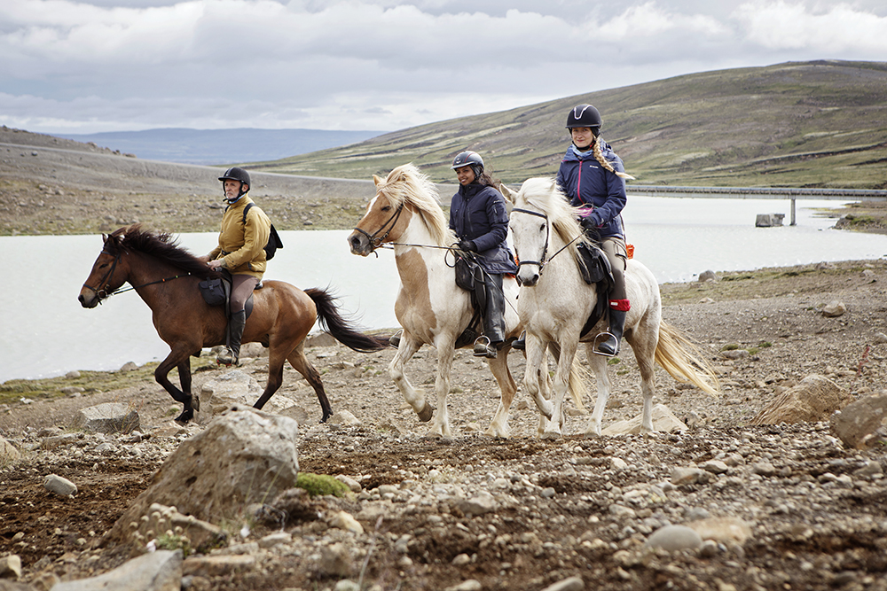 Image La traversée de l'Islande à cheval