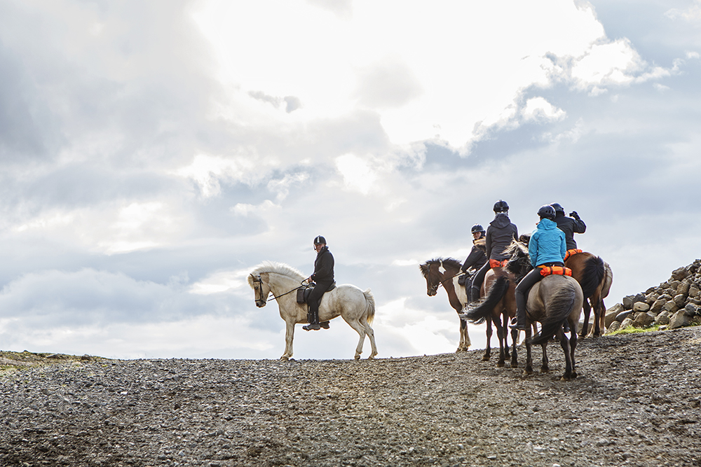 Image La traversée de l'Islande à cheval