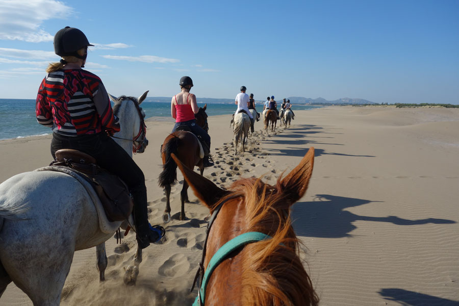 Image Espagne : Plages et prairies de la Costa Brava à cheval