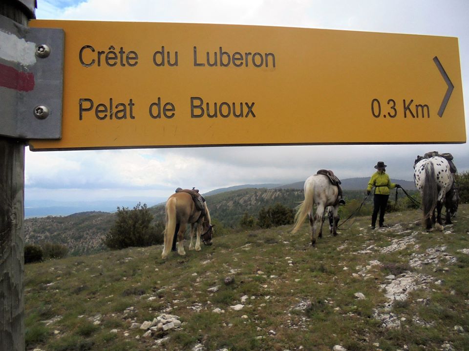 Voyage à cheval en PROVENCE