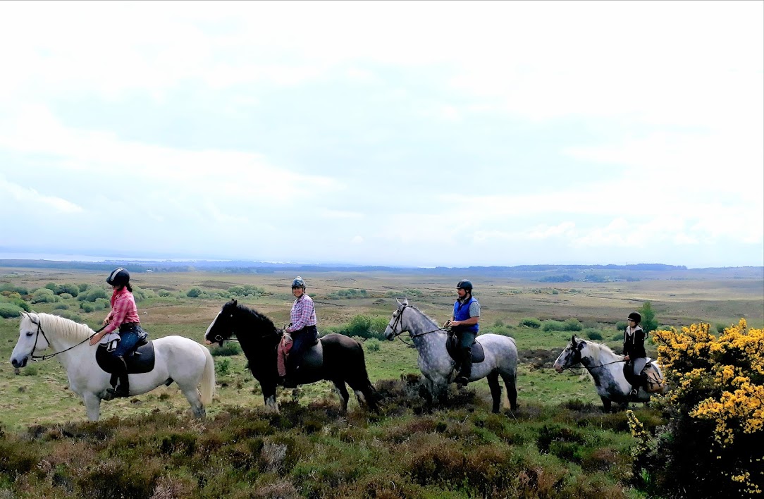 Image Stage d'équitation et randonnées en étoile en Irlande