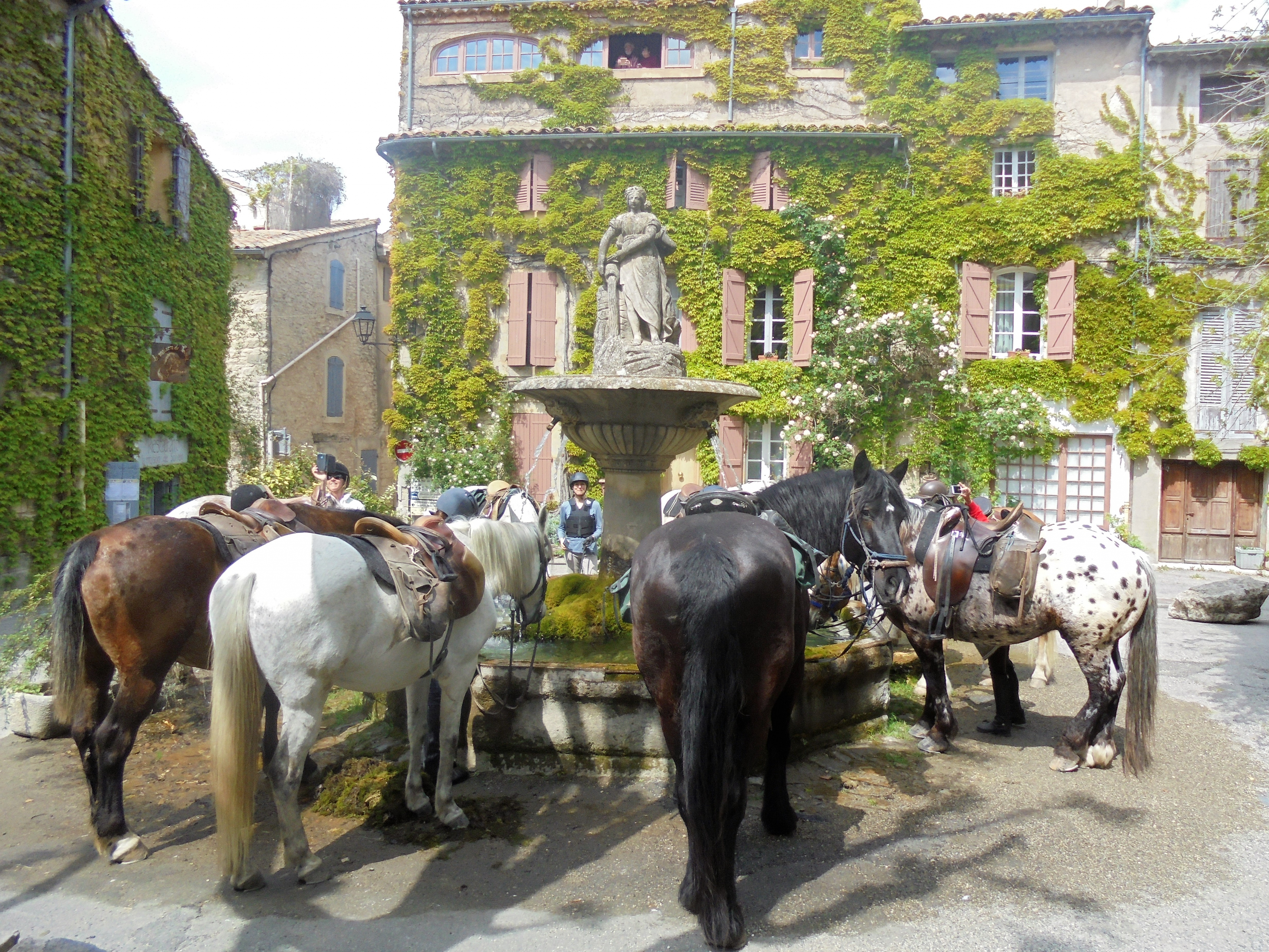 Voyage à cheval en PROVENCE