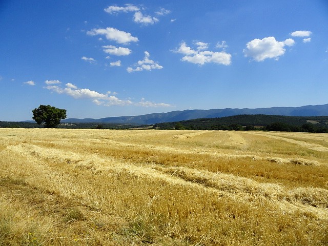 Voyage à cheval en PROVENCE