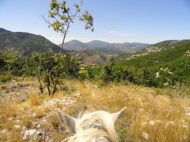 Voyage à cheval en PROVENCE