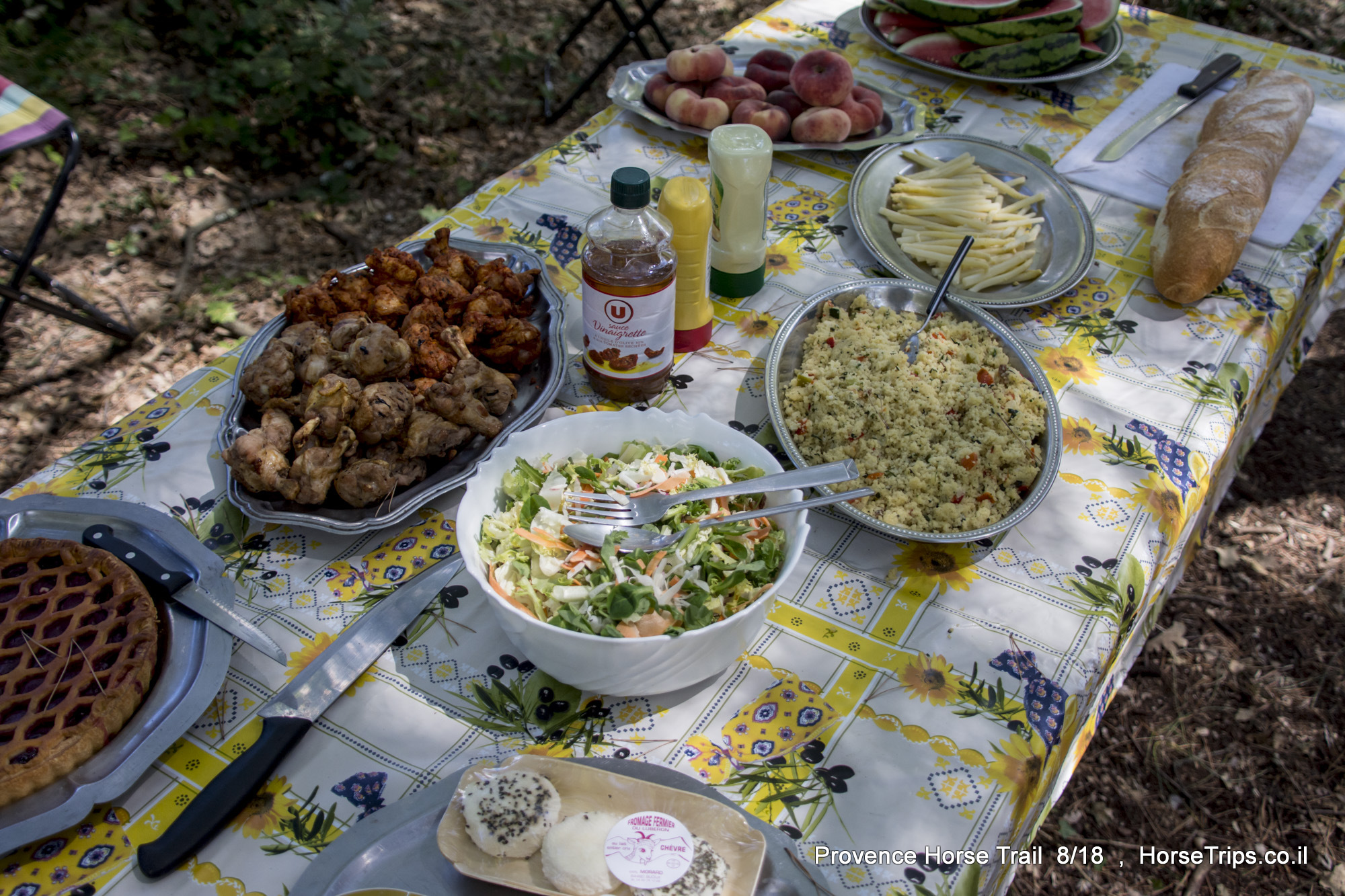 Pic nic Voyage à cheval en PROVENCE