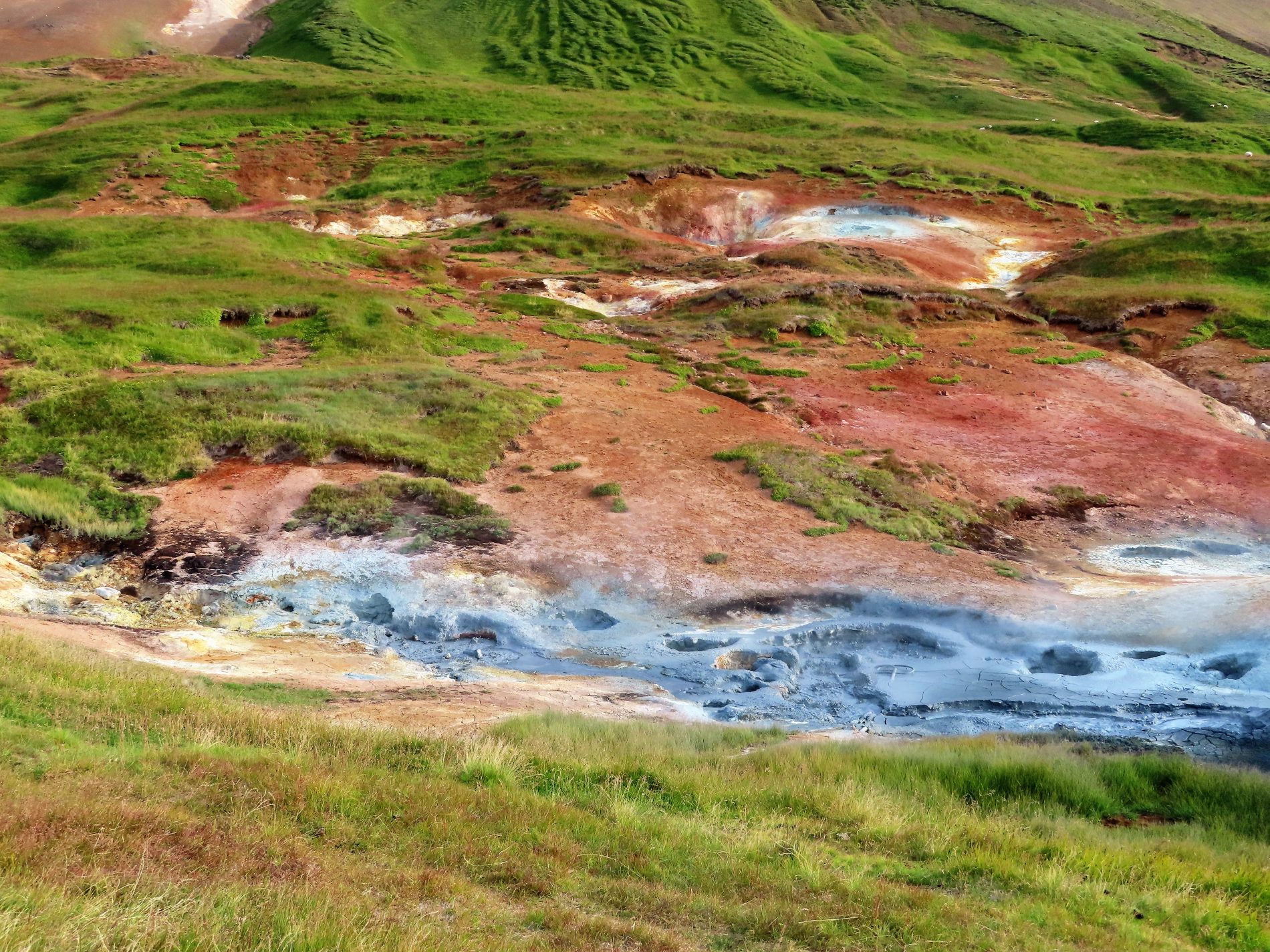Image Le nord de l'Islande en rando à cheval