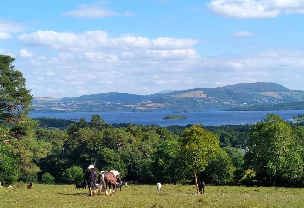 Image Stage d'équitation et randonnées en étoile en Irlande