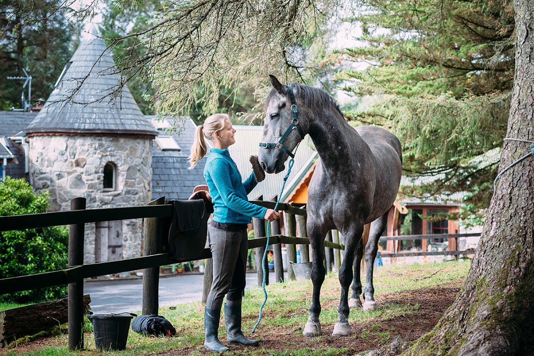 Image Stage d'équitation et randonnées en étoile en Irlande