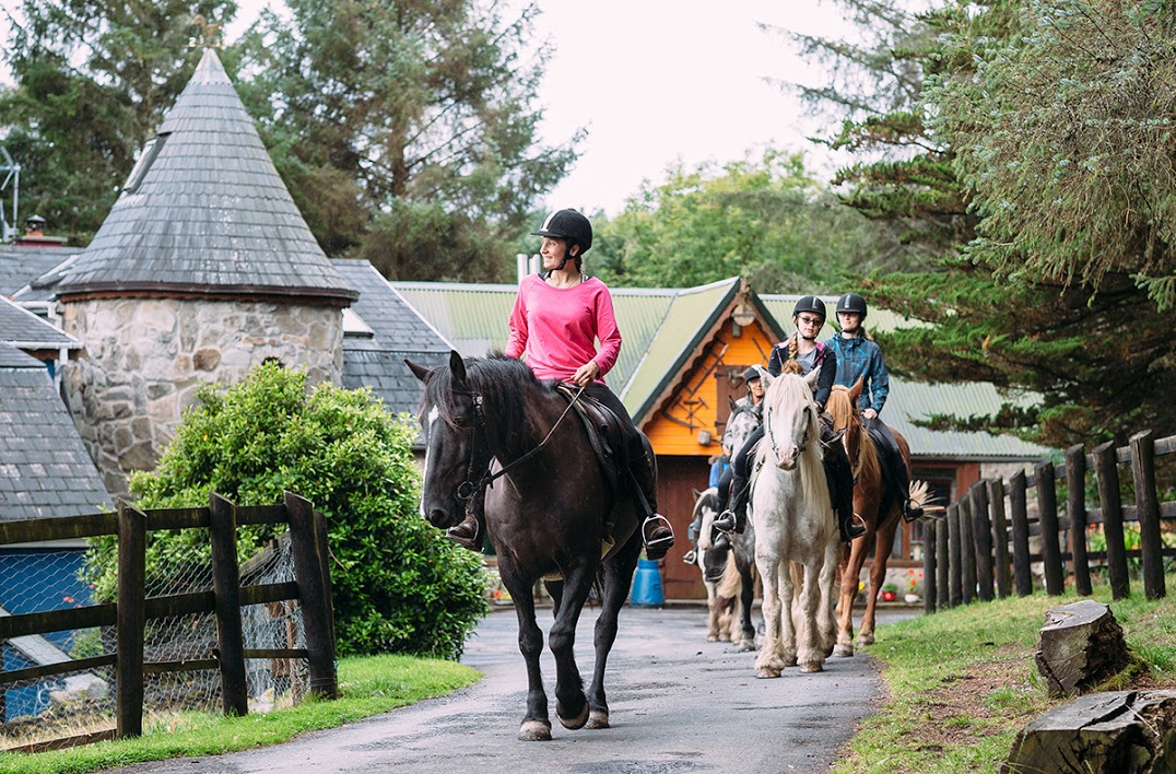 Image Stage d'équitation et randonnées en étoile en Irlande