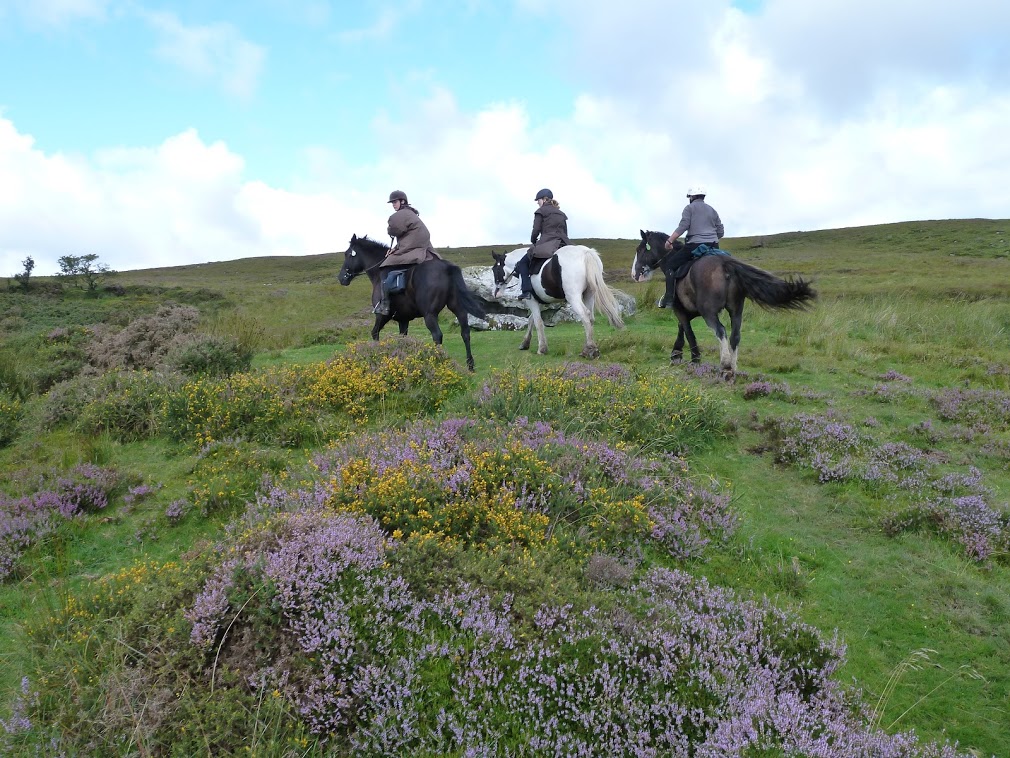 Image Stage d'équitation et randonnées en étoile en Irlande