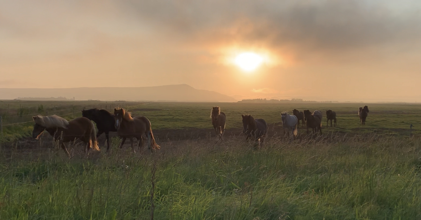 Image Le sud de l'Islande en rando à cheval - Le Cercle d'Or