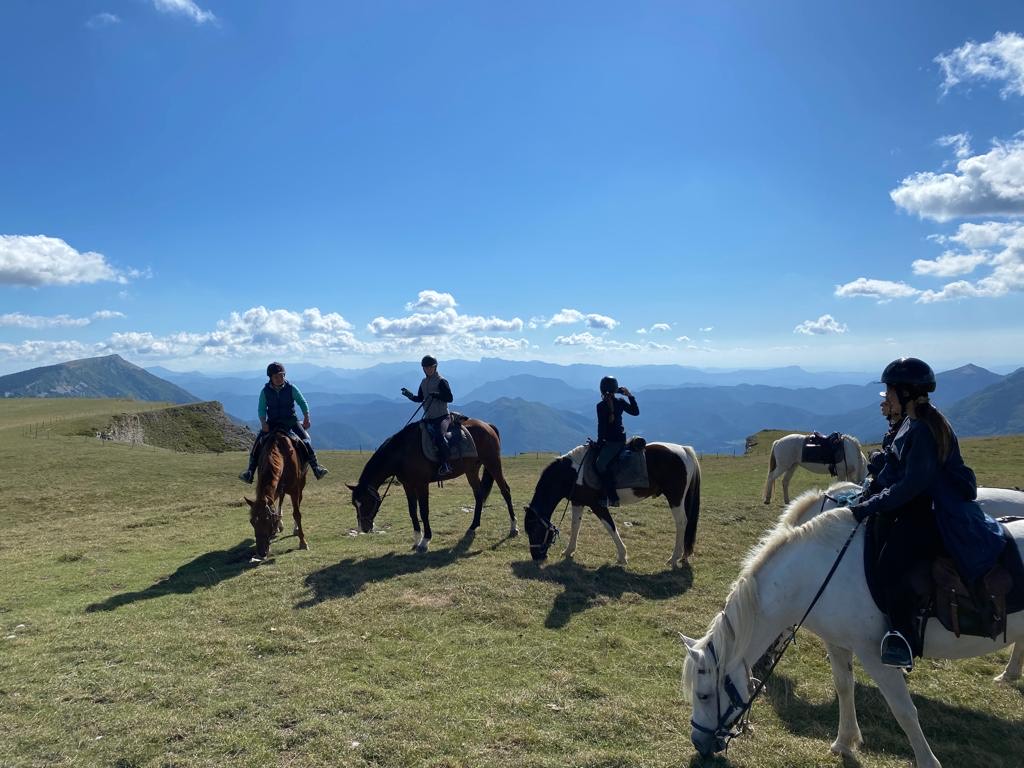 Image Echappée en  rando à cheval sur le plateau du Vercors