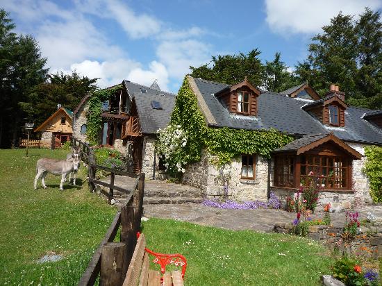 Image Stage d'équitation et randonnées en étoile en Irlande