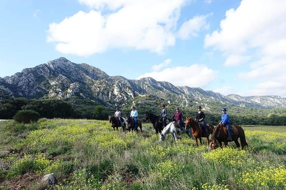 Image Voyage à cheval des collines du Luberon et des Alpilles à la Camargue