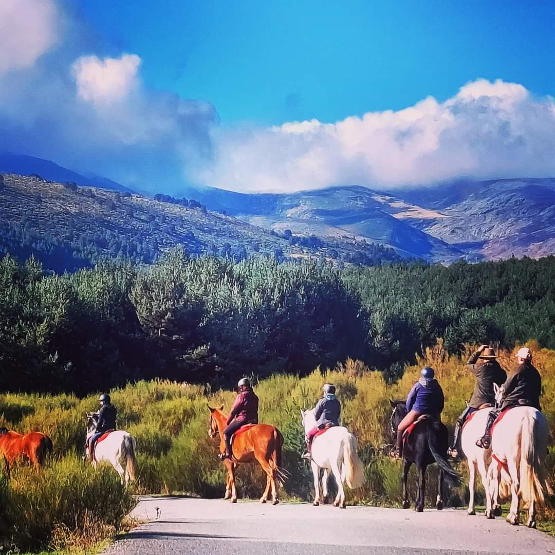 Image Espagne : Transhumance à cheval entre la Sierra de Gredos et l'Extremadure