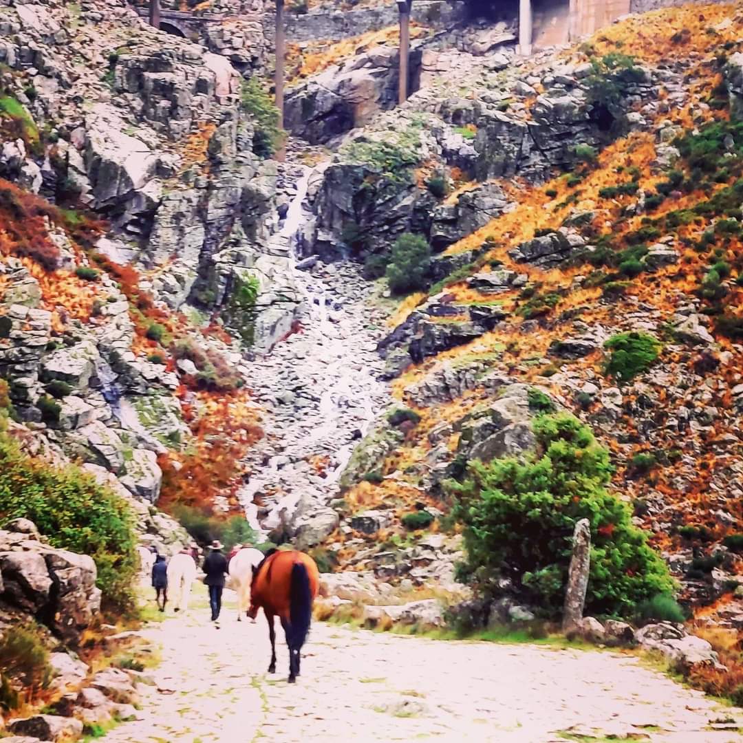 Image Espagne : Transhumance à cheval entre la Sierra de Gredos et l'Extremadure