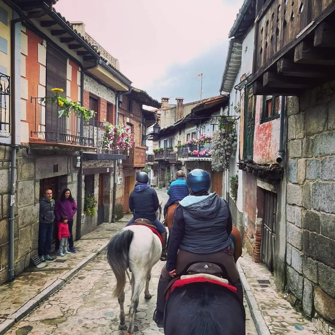 Image Espagne : Transhumance à cheval entre la Sierra de Gredos et l'Extremadure