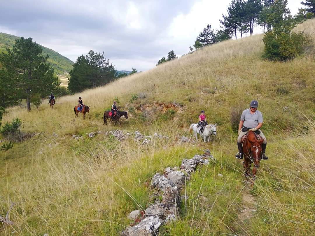 Image Croatie: Les collines de Dalmatie à cheval
