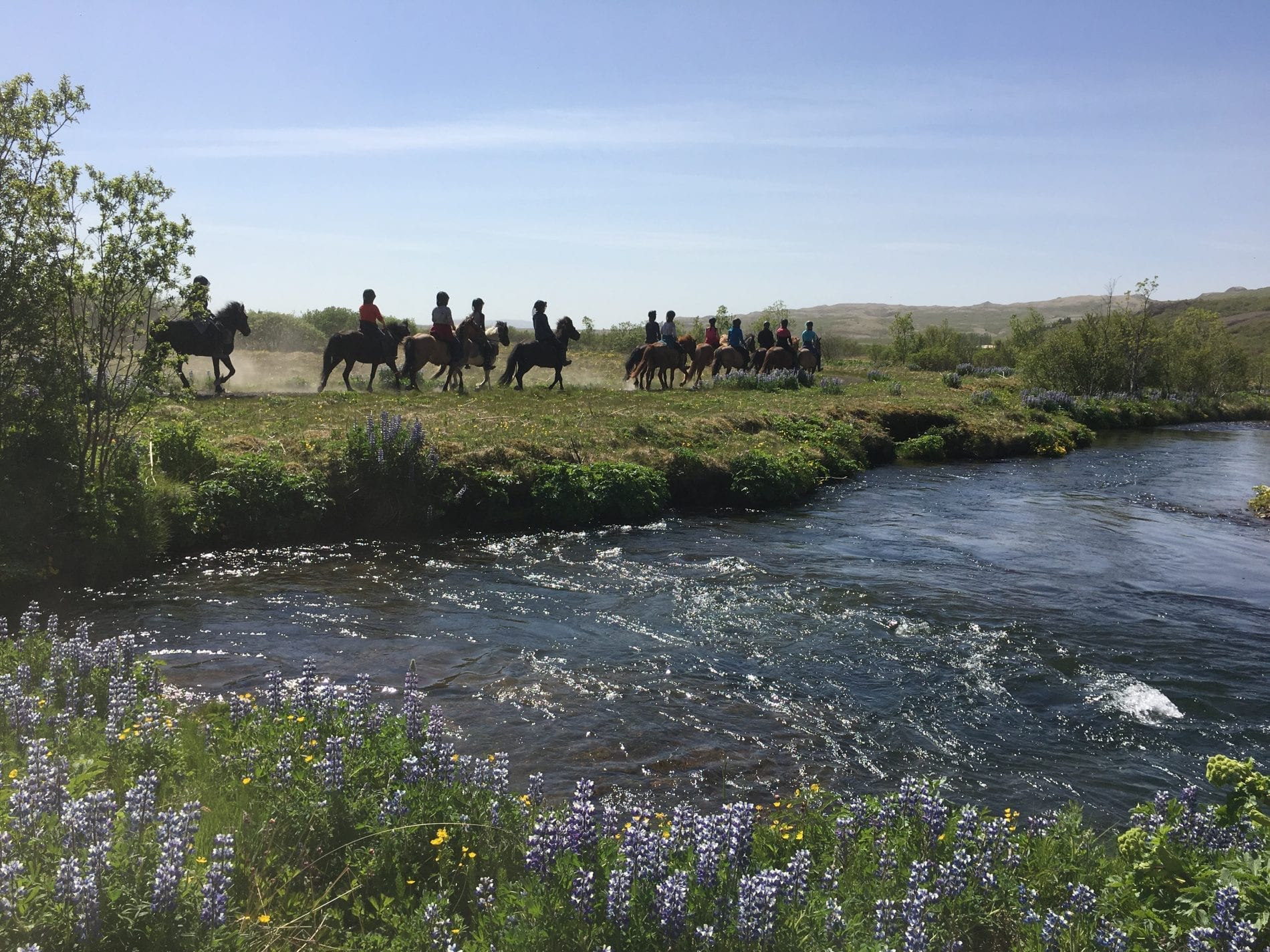 Image Le sud de l'Islande en rando à cheval - Le Cercle d'Or
