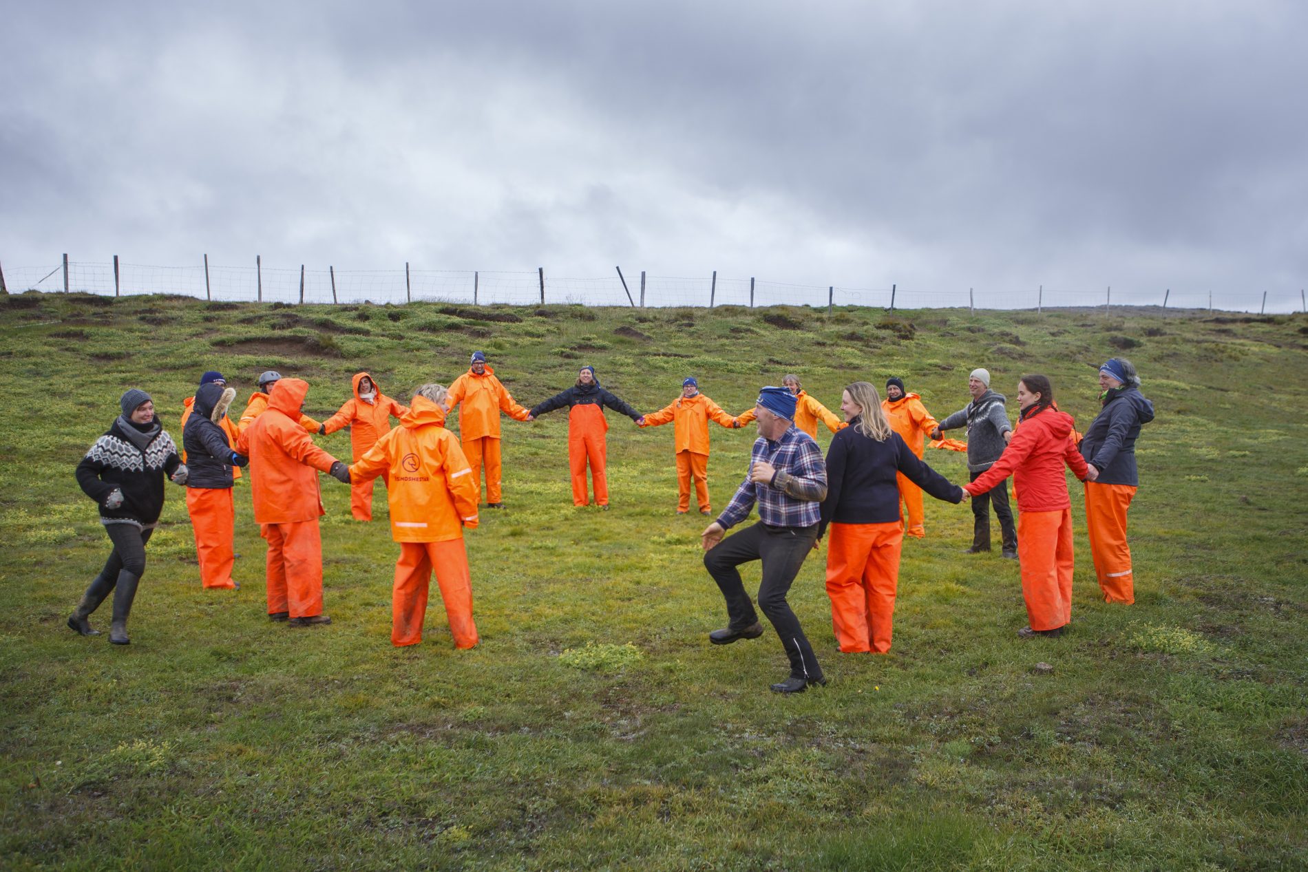 Image Le nord de l'Islande en rando à cheval