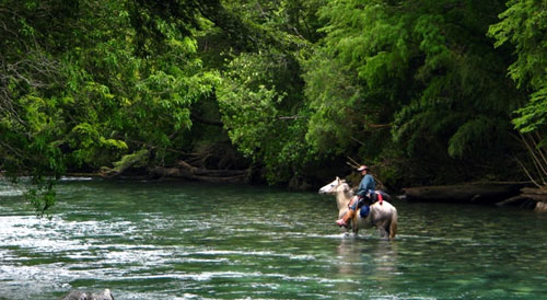 Image Argentine et Chili : La traversée des Andes à cheval