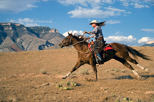 Image Usa : Randonnées à cheval et travail du bétail dans le Wyoming