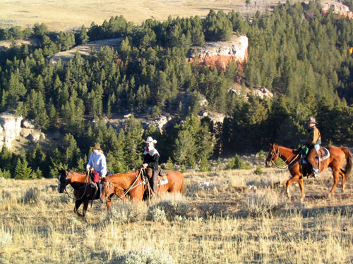 Image Usa : Randonnées à cheval et travail du bétail dans le Wyoming