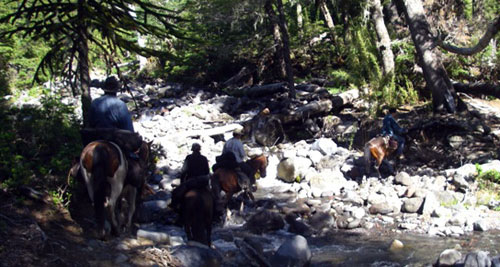 Image Argentine et Chili : La traversée des Andes à cheval