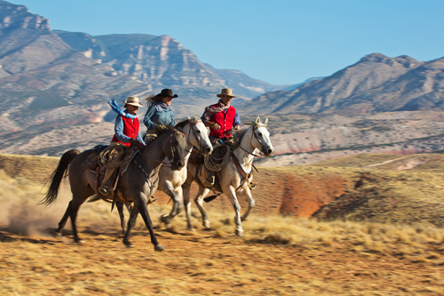 Image Usa : Randonnées à cheval et travail du bétail dans le Wyoming