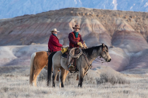 Image Usa : Randonnées à cheval et travail du bétail dans le Wyoming