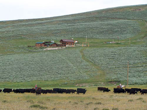 Image Usa : Randonnées à cheval et travail du bétail dans le Wyoming