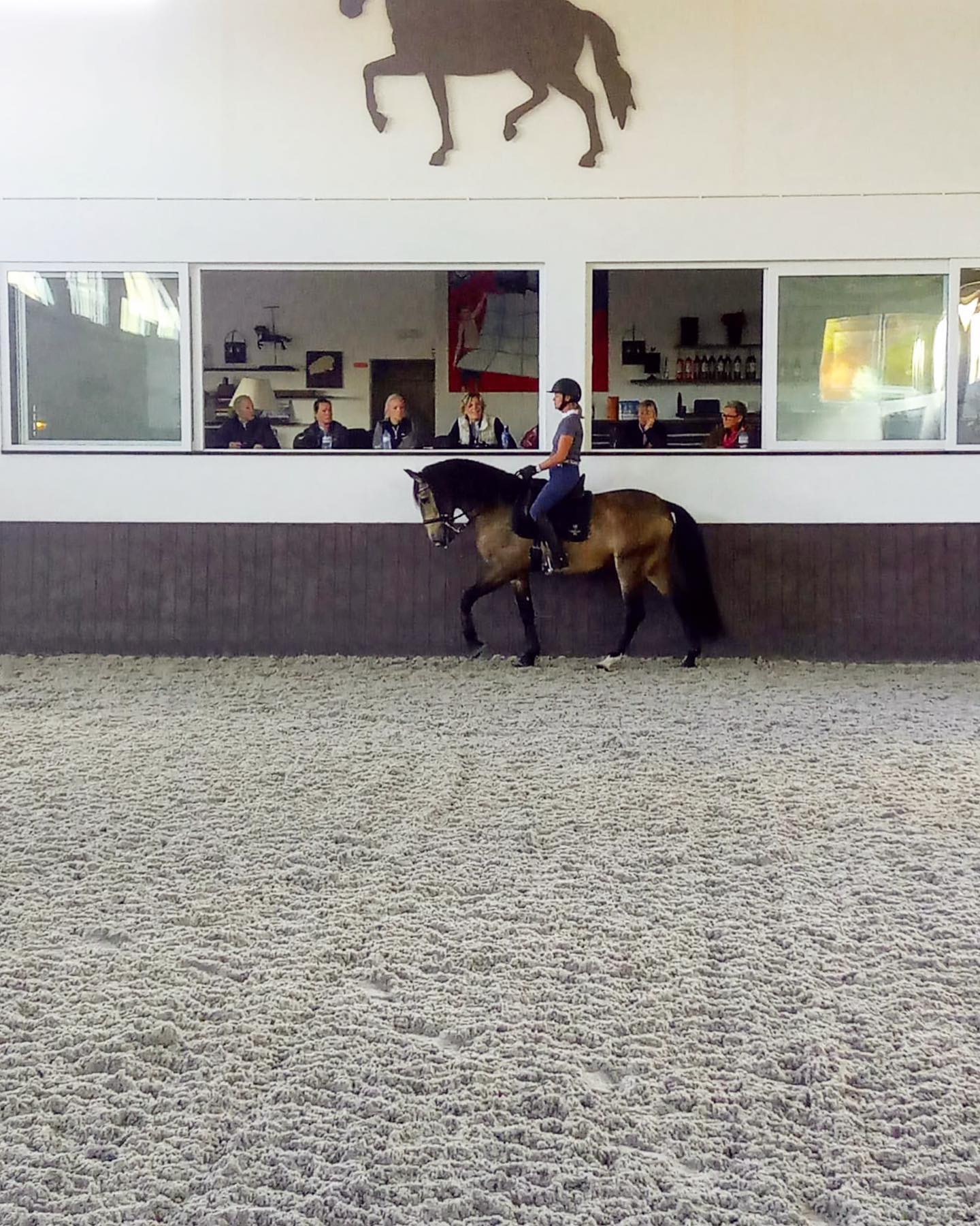 Image Stage de dressage et d'équitation Portugaise en quinta de grand confort + Randonnée à cheval au Port