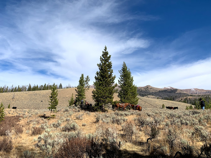 Image Usa : Séjour en ranch et randonnées à cheval dans le Wyoming