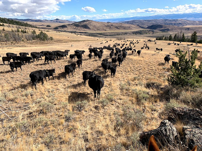 Image Usa : Séjour en ranch et randonnées à cheval dans le Wyoming