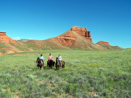 Image Usa : Randonnées à cheval et travail du bétail dans le Wyoming