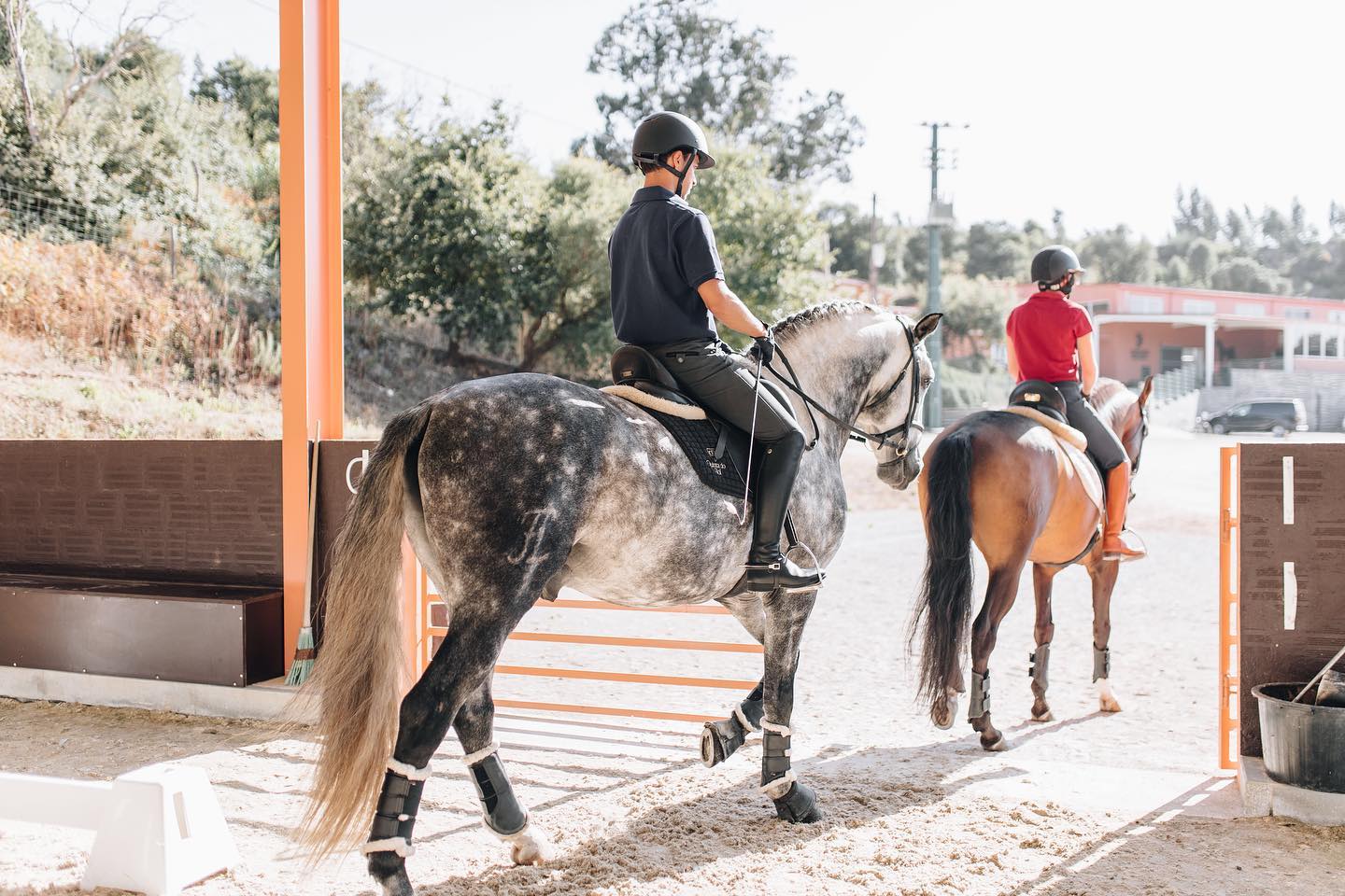 Image Stage de dressage et d'équitation Portugaise en quinta de grand confort + Randonnée à cheval au Port