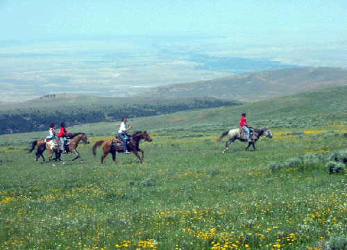 Image Usa : Randonnées à cheval et travail du bétail dans le Wyoming