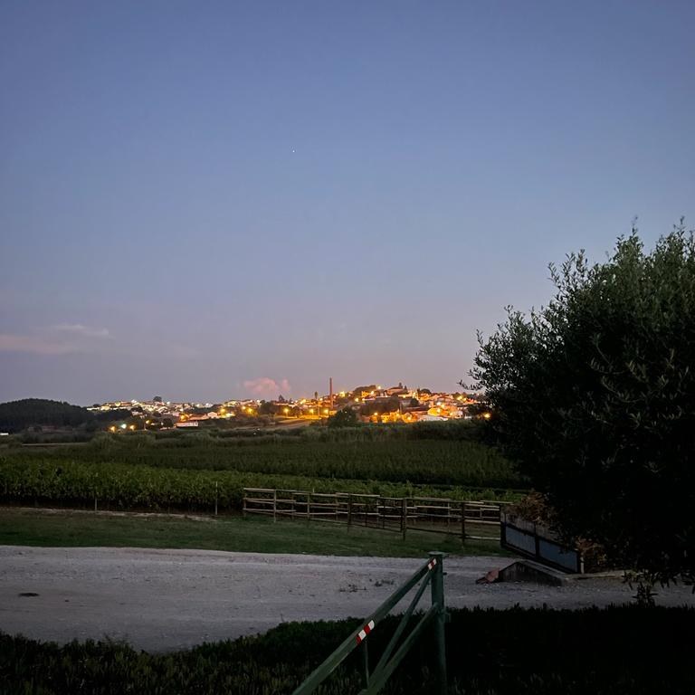 Image Stage de dressage et d'équitation Portugaise en quinta de grand confort au Portugal