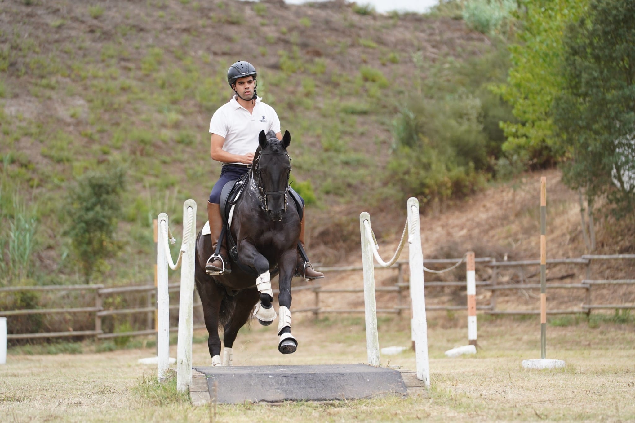 Image Stage de dressage et d'équitation Portugaise en quinta de grand confort + Randonnée à cheval au Port