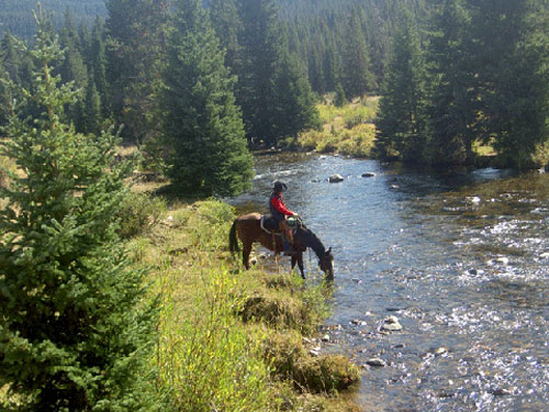 Image Usa : Randonnées à cheval et travail du bétail dans le Wyoming