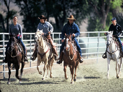 Image Usa : Randonnées à cheval et travail du bétail dans le Wyoming