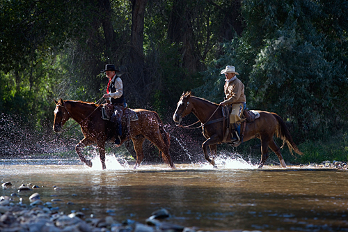 Image Usa : Randonnées à cheval et travail du bétail dans le Wyoming