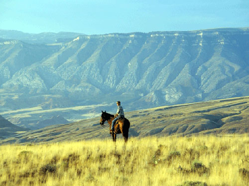 Image Usa : Randonnées à cheval et travail du bétail dans le Wyoming