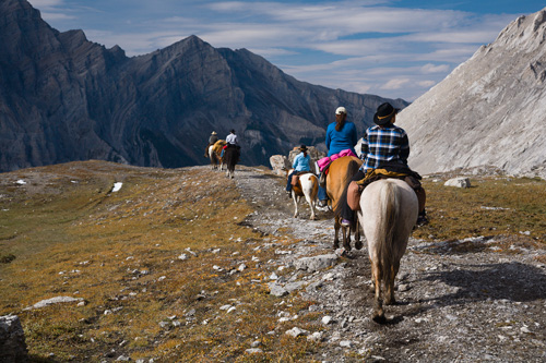 Image Canada : Randonnée à cheval dans le Parc de Banff